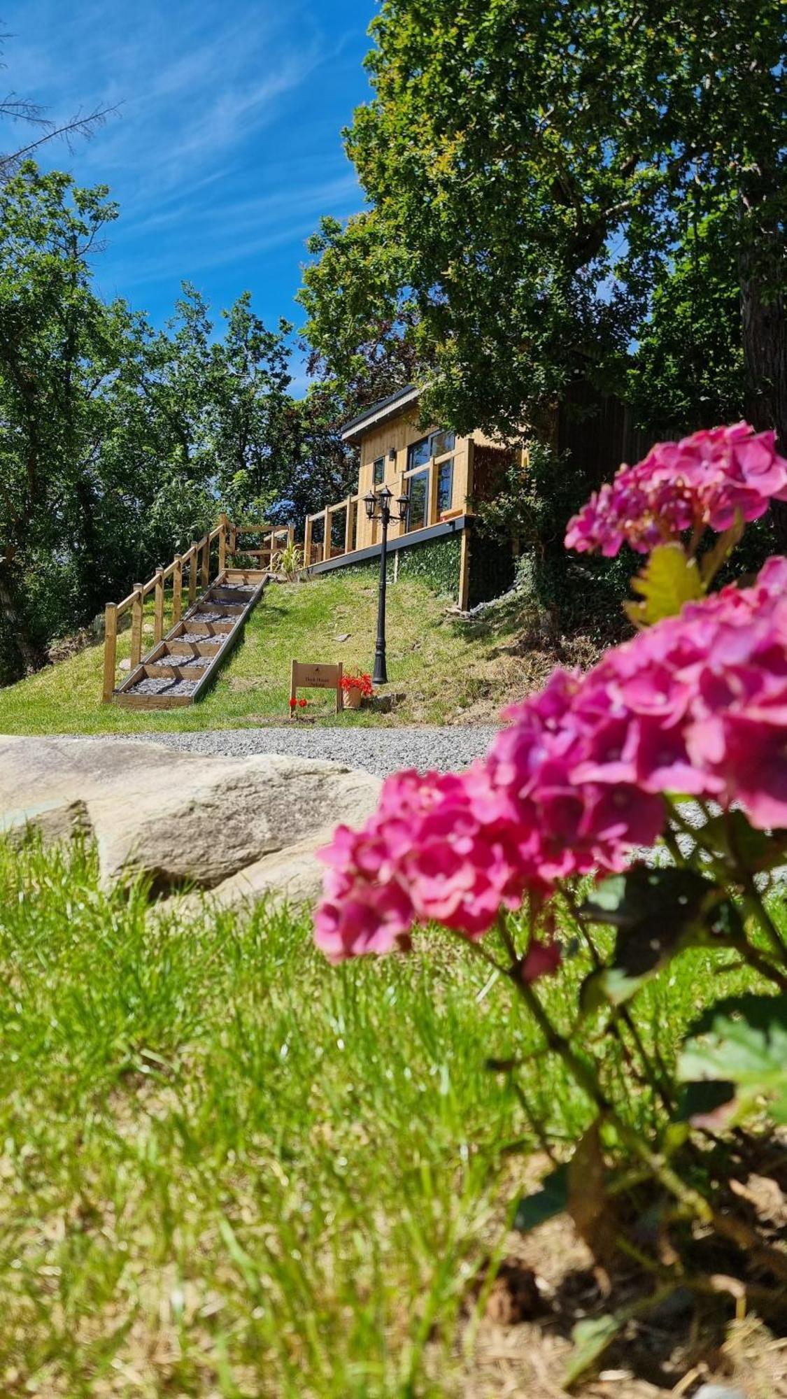 The Duck House Apartamento Barmouth Exterior foto